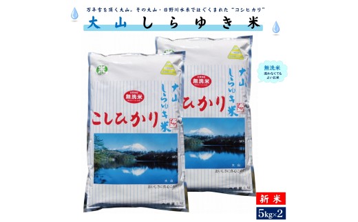 【3〜7営業日以内に出荷】令和7年産 新米 大山しらゆき米10kg(無洗コシヒカリ・5kg×2)鳥取県米子市30000米・パン無洗米