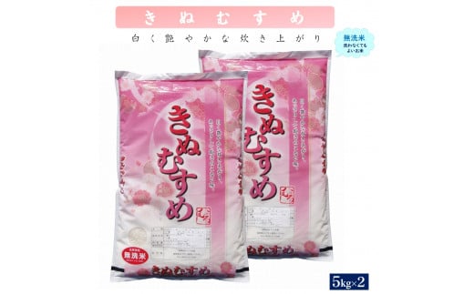 令和6年産 きぬむすめ10kg(無洗・5kg×2)鳥取県米子市38000米・パン無洗米