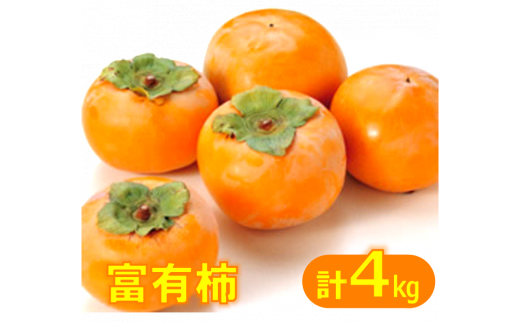 鳥取県産柿「富有柿」ふゆうかき(4kg)鳥取県米子市14000果物・フルーツその他 果物・フルーツ
