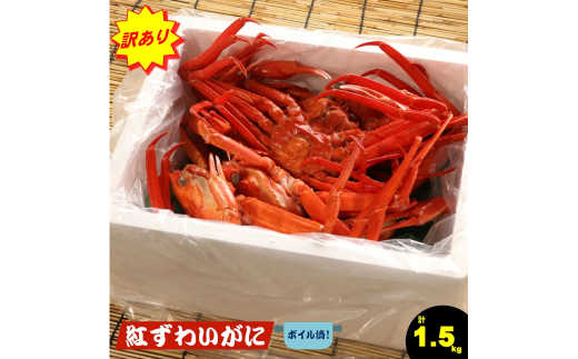 訳あり 数量限定 期間限定 脚折れ紅ズワイガニセット 合計1.5kg  (9月発送〜)鳥取県米子市20000魚介・海産物カニ