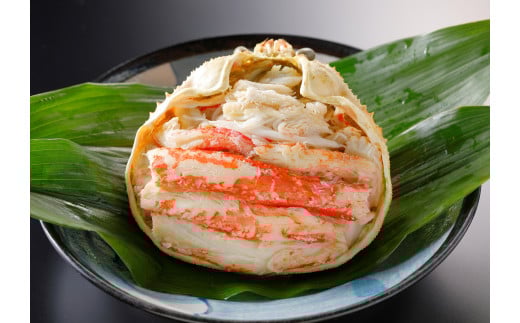 挧Y@tɍb@1挧Ďqs65000ECYJj