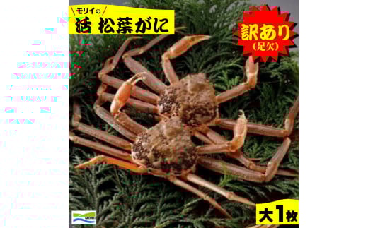 鳥取県産 訳あり(足欠け)活松葉がに(大1枚)鳥取県米子市70000魚介・海産物カニ