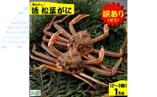 挧Y@󂠂ijtɂPsi2~3j挧Ďqs50000ECYJj