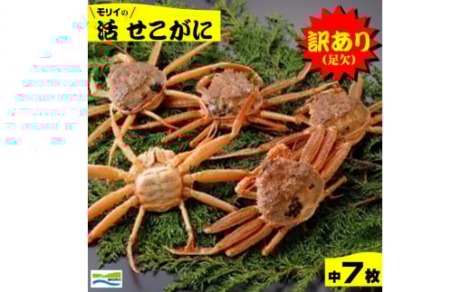 挧Y@󂠂ijɁiji7j挧Ďqs30000ECYJj
