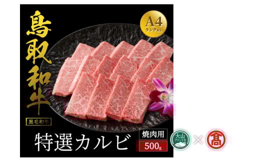 <だんだんキッチン>鳥取和牛 特選カルビ(500g)(大山ブランド会)鳥取県米子市45000肉牛肉