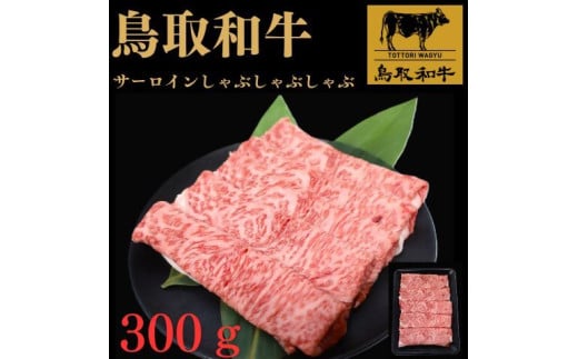 aT[CԂԗp@ROOg挧Ďqs13000