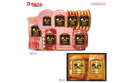 Rn@oGeB[Zbg@CNS-52 { OR-24yVIiz挧Ďqs31000HinE\[Z[Wj