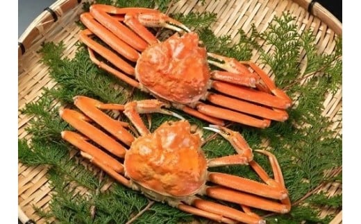 <お魚センターみくりや>松葉かに(ボイル)400g〜500g×2枚【島屋選定品】鳥取県米子市66000魚介・海産物カニ