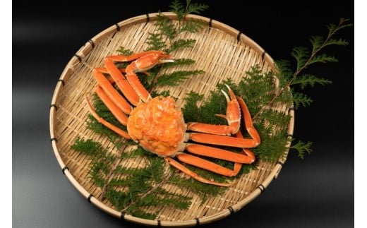 <お魚センターみくりや>松葉かに(ボイル)600g〜700g×1枚【島屋選定品】鳥取県米子市38000魚介・海産物カニ