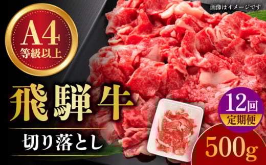 y12ցzyˋz ؂藎Ƃ 500g × 12 (v6kg) a uh Y  s / nӐX [TAZ014]򕌌s160000