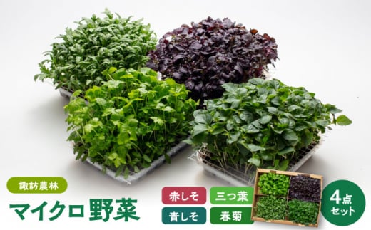 }CN 4_Zbgq Ԃ  Ot te ryzK_сz [TDO002]򕌌s12000؁Ê̑ 