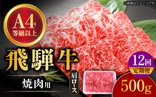 y12ցz ˋ ēp [XE[X 500g A4ȏ a uh Y  s / nӐX [TAZ033]򕌌s360000