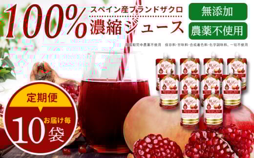 y12ցz fUNW[X 10 s / A[Y [TGK019]򕌌s512000Eʏ`E؈