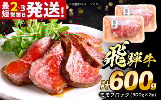 ˋ  ubN 600g (300g×2) s / {V~[g ˋ  a Ⓚ Ԑg a Mtg [THG009]򕌌s23000