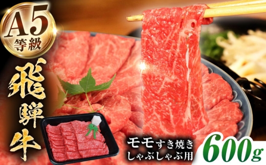 yA5z ˋ  ₫ Ԃԗp 600 s / gLmHi Ⓚ Ԑg ̂Ή Mtg [THJ002]򕌌s22000