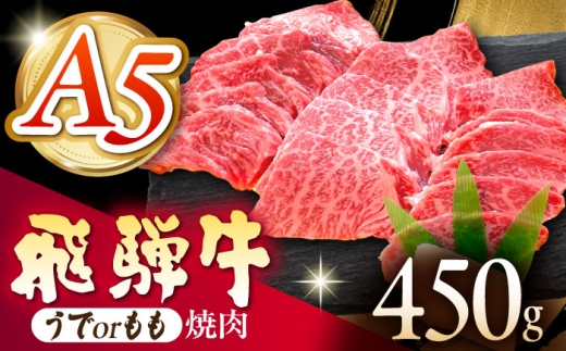s①t yA5z ˋ or ē 450g s / ̉ A5  Mtg 蕨 [THI017]򕌌s30000
