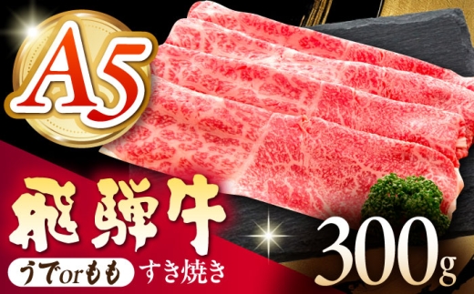 s①t yA5z ˋ or Ă 300g s / ̉ A5  Mtg 蕨 [THI009]򕌌s20000