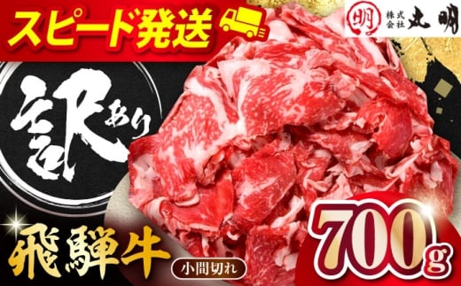 ˋ R}؂ 700 s / ˋ̊ۖ Ⓚ a 󂠂 [THL001]򕌌s10000