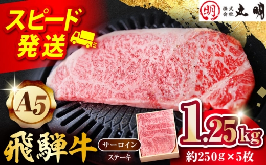 yA5z ˋ T[CXe[Lp 1.25kg(250g×5) s / ˋ̊ۖ Ⓚ a Ԑg ~ 󏭕 [THL009]򕌌s56000