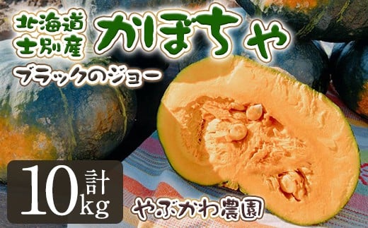 【B7116】<先行予約受付中・期間限定>北海道士別市産 かぼちゃ ブラックのジョー (10kg・5~8玉) 【2025年10月から12月の間に順次発送】かぼちゃ 南瓜 カボチャ 北海道産 国産 野菜 やさい 甘み