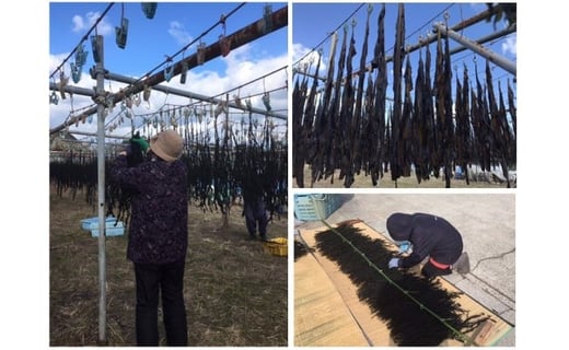 肉厚  鳴門糸わかめ1s兵庫県南あわじ市47000魚介・海産物のり・海藻