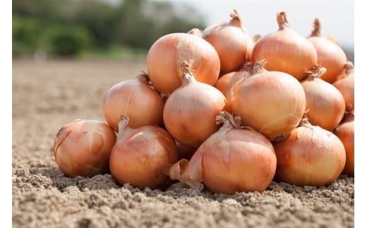 ʂ˂@10kgɌ삠킶s11000؁Êʂ˂E˂