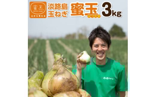 2025年度産 淡路島玉ねぎ「蜜玉」3kg(有機肥料100%)兵庫県南あわじ市7000野菜・きのこ玉ねぎ・ねぎ