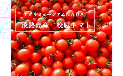 AO~[WAm`c`@Zg}g@3kgɌ삠킶s13000؁Êg}g