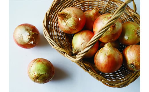 Pb`IjIl@z2026N7{`Ɍ삠킶s10000؁Êʂ˂E˂