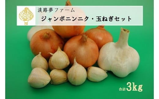 ジャンボニンニク・玉ねぎセット3kg兵庫県南あわじ市11000野菜・きのこその他 野菜