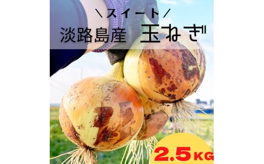 淡路島スイートオニオン 淡路島産玉ねぎ 2.5kg兵庫県南あわじ市4000野菜・きのこ玉ねぎ・ねぎ