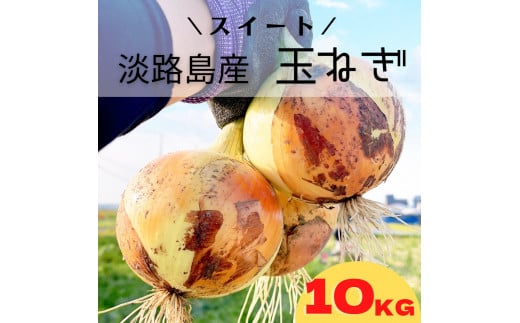淡路島スイートオニオン 淡路島産玉ねぎ 10kg兵庫県南あわじ市9000野菜・きのこ玉ねぎ・ねぎ
