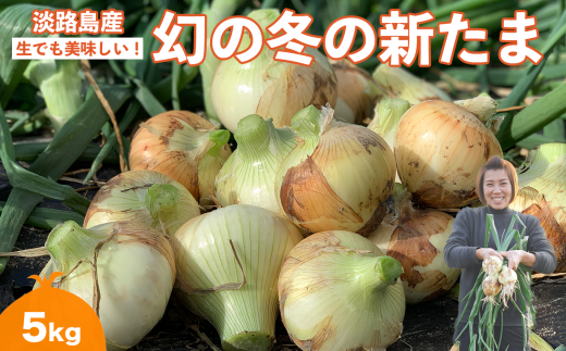 【野口ファーム】幻の冬の新たまねぎ 5kg 約15個入 ◆配送12月〜兵庫県南あわじ市9000野菜・きのこ玉ねぎ・ねぎ