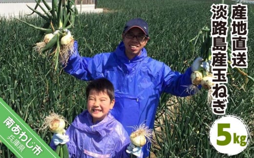 淡路島産玉ねぎ 5kg  ◆配送5月上旬〜兵庫県南あわじ市6000野菜・きのこ玉ねぎ・ねぎ