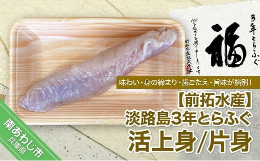 【冷蔵配送】前拓水産の淡路島3年とらふぐ(活上身/片身)◆配送期間10月25日〜3月31日兵庫県南あわじ市17000魚介・海産物鮮魚