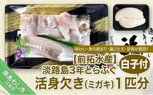 【冷蔵配送】前拓水産の淡路島3年とらふぐ(活身欠き【ミガキ】1匹分)白子付◆配送期間12月1日〜2月28日兵庫県南あわじ市54000魚介・海産物鮮魚