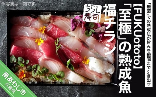 「至極」の熟成魚 福チラシ兵庫県南あわじ市13000魚介・海産物鮮魚