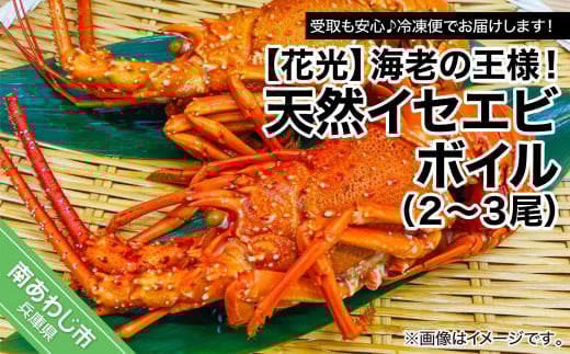 ySⓀցzCV̉lIVRCZGr{Ci2`3jɌ삠킶s20000ECYGr