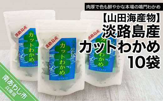 淡路島産カットわかめ 10袋兵庫県南あわじ市20000魚介・海産物のり・海藻