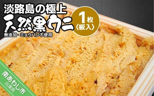 \tyYE~EosgpE/ʌzWH̋ɏEjIVREjiPjR{ȍ~JnɌ삠킶s13000ECYCJE^REEj