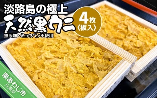 \tyYE~EosgpE/ʌzWH̋ɏEjIVREjiSjR{ȍ~JnɌ삠킶s46000ECYCJE^REEj