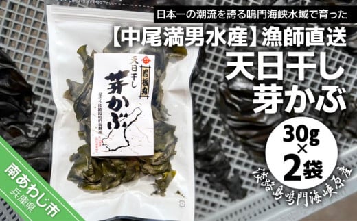【中尾満男水産】【漁師直送】天日干しめかぶ30g×2袋【淡路島鳴門海峡原産】兵庫県南あわじ市5000魚介・海産物のり・海藻