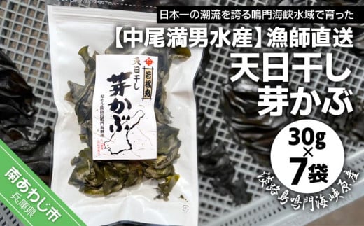 yjYzytzV߂30×7܁yWHCYzɌ삠킶s10000ECŶEC