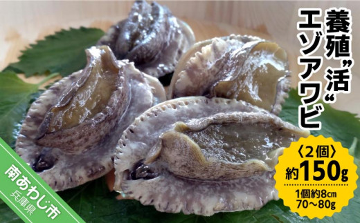 yjYzyWHYz{BghG]Ar2 150g (18cm 70`80g)Ɍ삠킶s10000ECYL