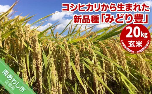 令和7年産・玄米『みどり豊』20kg 10月中旬頃から発送兵庫県南あわじ市67000米・パン玄米・雑穀米・もち米・餅