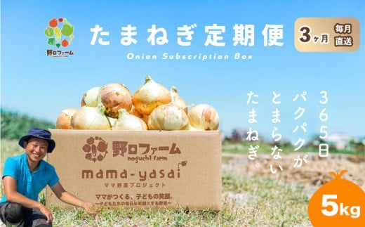 【3回定期便】mama-yasai たまねぎ5kg兵庫県南あわじ市24000野菜・きのこ玉ねぎ・ねぎ