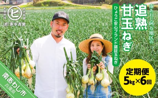 【6ヶ月定期便】「追熟甘玉ねぎ」5kg兵庫県南あわじ市37000野菜・きのこ玉ねぎ・ねぎ