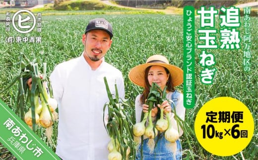 【6ヶ月定期便】「追熟甘玉ねぎ」10kg兵庫県南あわじ市65000野菜・きのこ玉ねぎ・ねぎ