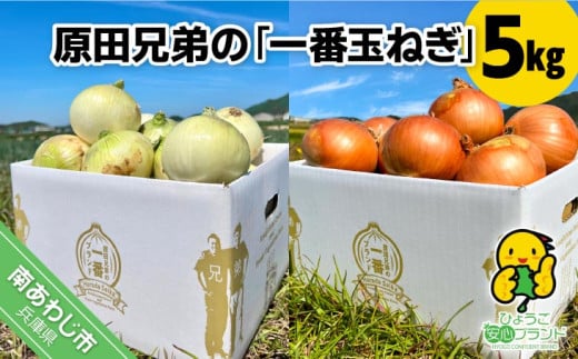 原田兄弟の一番玉ねぎ 5kg兵庫県南あわじ市6000野菜・きのこ玉ねぎ・ねぎ