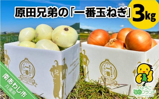 原田兄弟の一番玉ねぎ 3kg兵庫県南あわじ市4000野菜・きのこ玉ねぎ・ねぎ